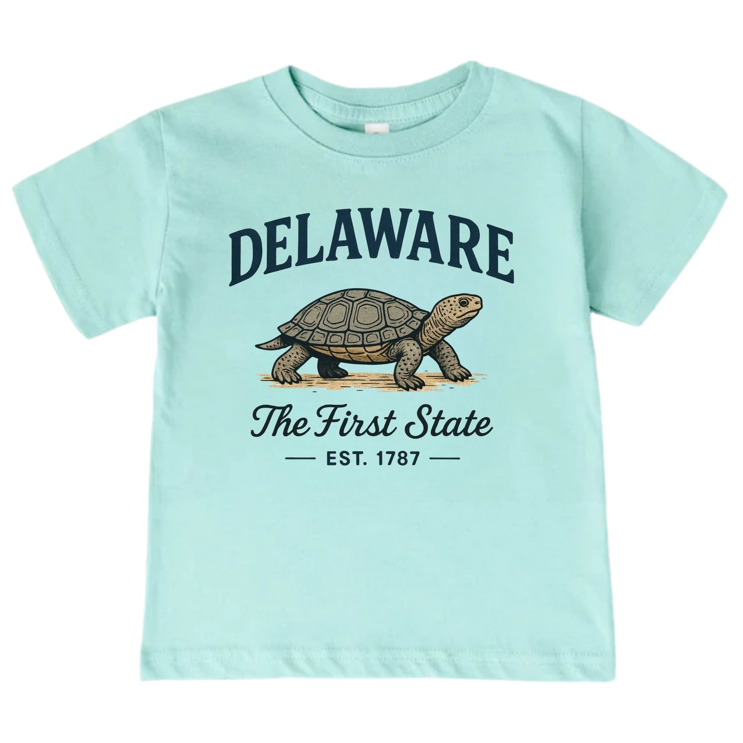 Delaware Baby Bodysuit for Baby Boys and Girls