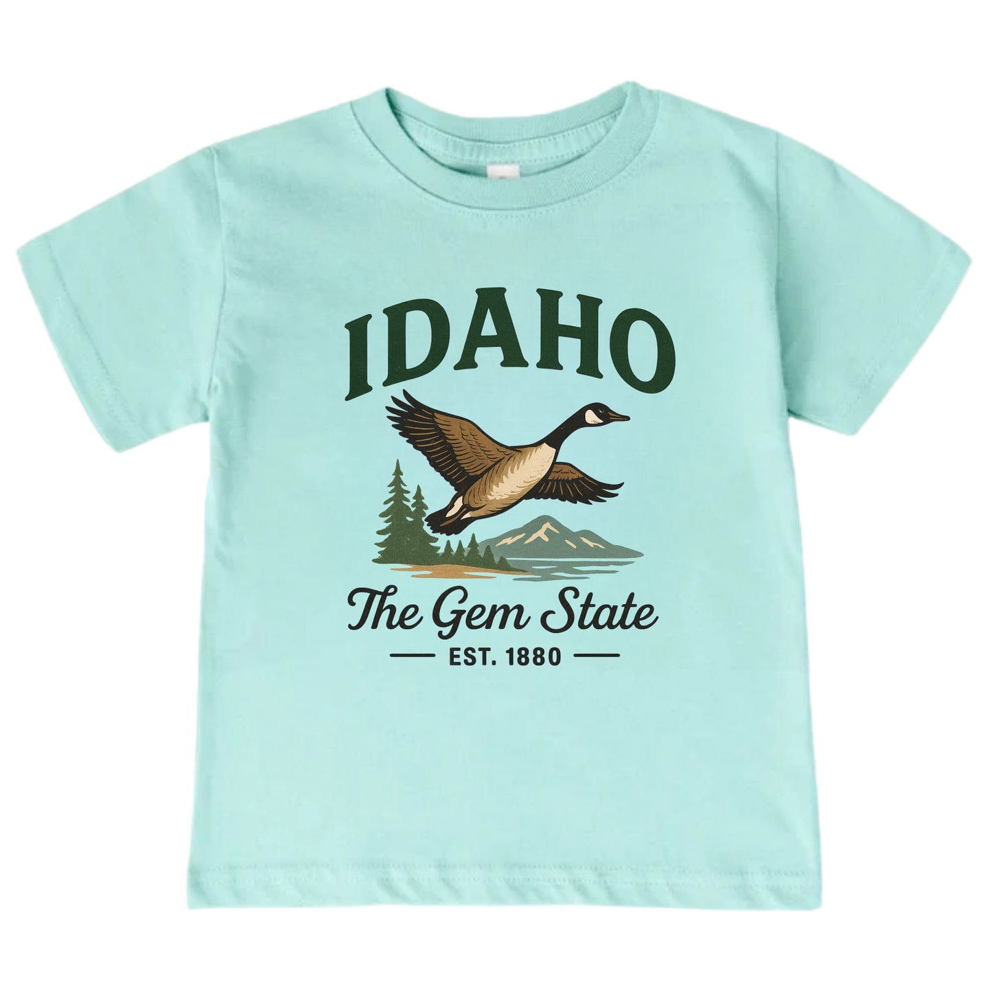 Idaho Baby Bodysuit for Baby Boys Girls, Boise Meridian Nampa Newborn Baby Hospital Outfit
