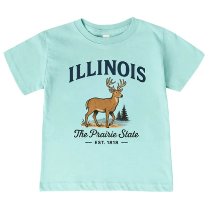 Illinois Vacation Kids Tshirt, Chicago Aurora Naperville Family Trip Shirt