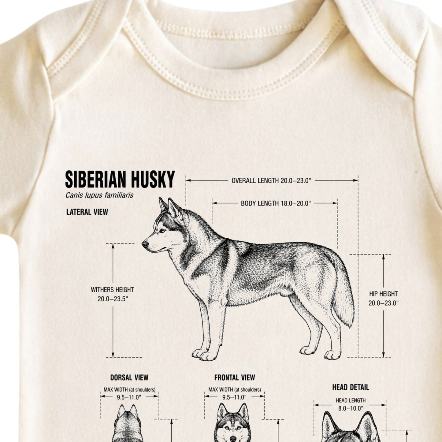 Siberian Husky Baby ONESIE ®, Husky Dog Baby Bodysuit for Boys Girls