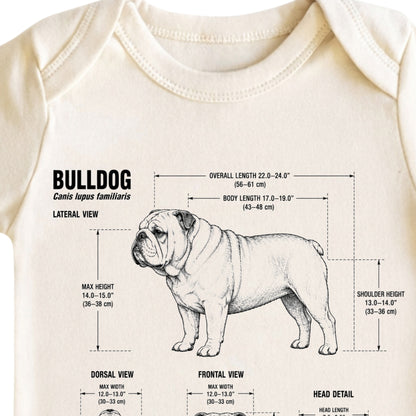 Bulldog Baby ONESIE ®, Bulldog Dog Baby Bodysuit for Boys Girls