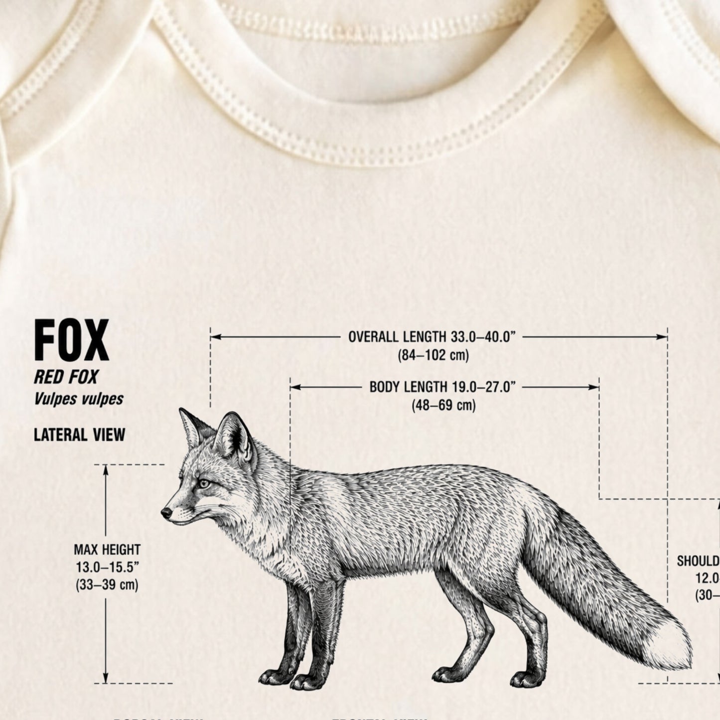 Fox Baby ONESIE ®, Fox Baby Bodysuit for Boys Girls
