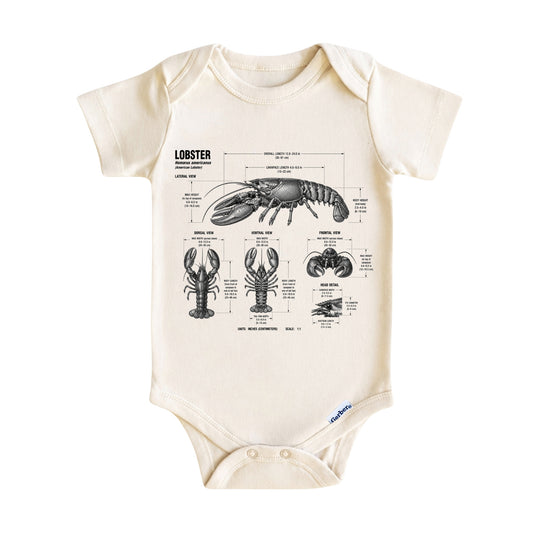 Lobster Baby ONESIE ®, Lobster Baby Bodysuit for Boys Girls