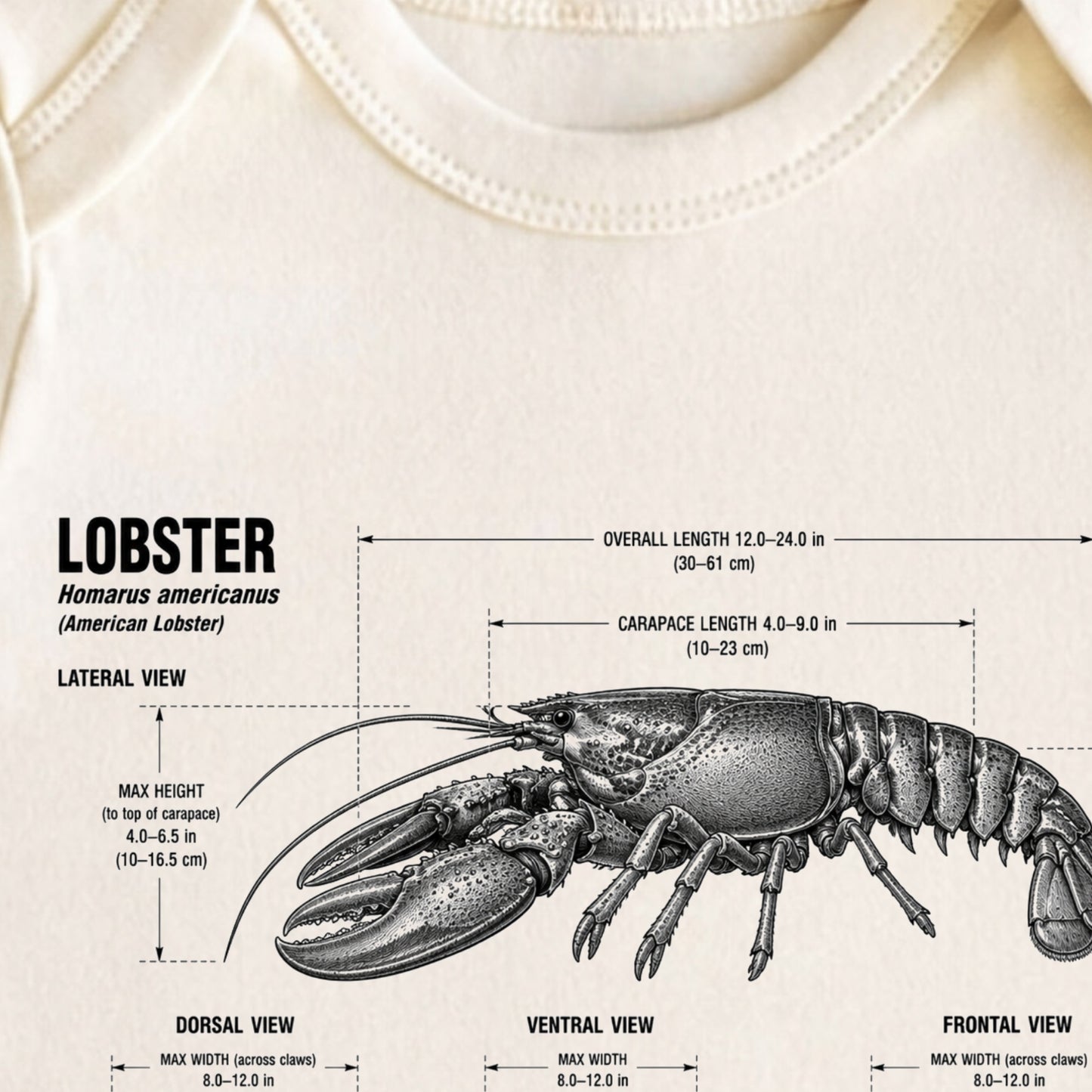 Lobster Baby ONESIE ®, Lobster Baby Bodysuit for Boys Girls
