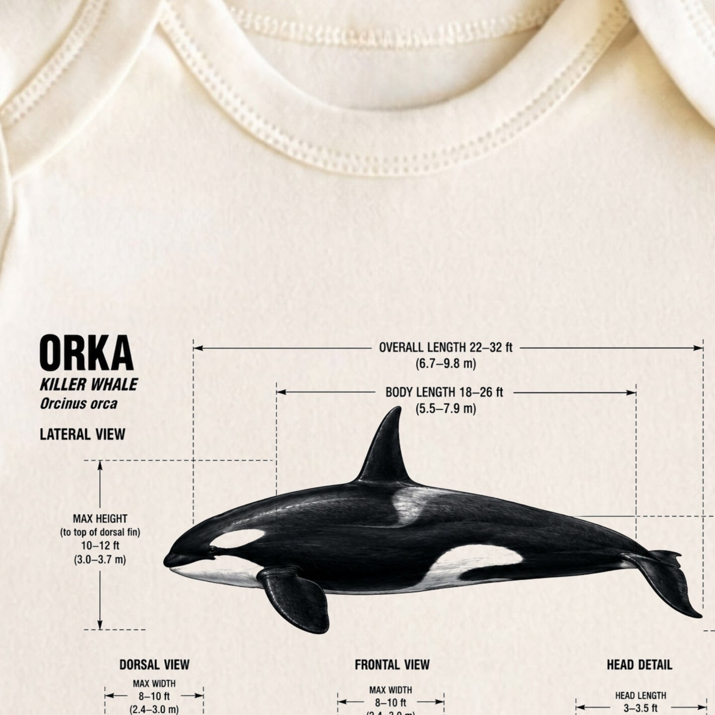 Orka Baby ONESIE ®, Baby Bodysuit for Boys Girls