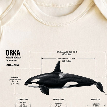Orka Baby ONESIE ®, Baby Bodysuit for Boys Girls