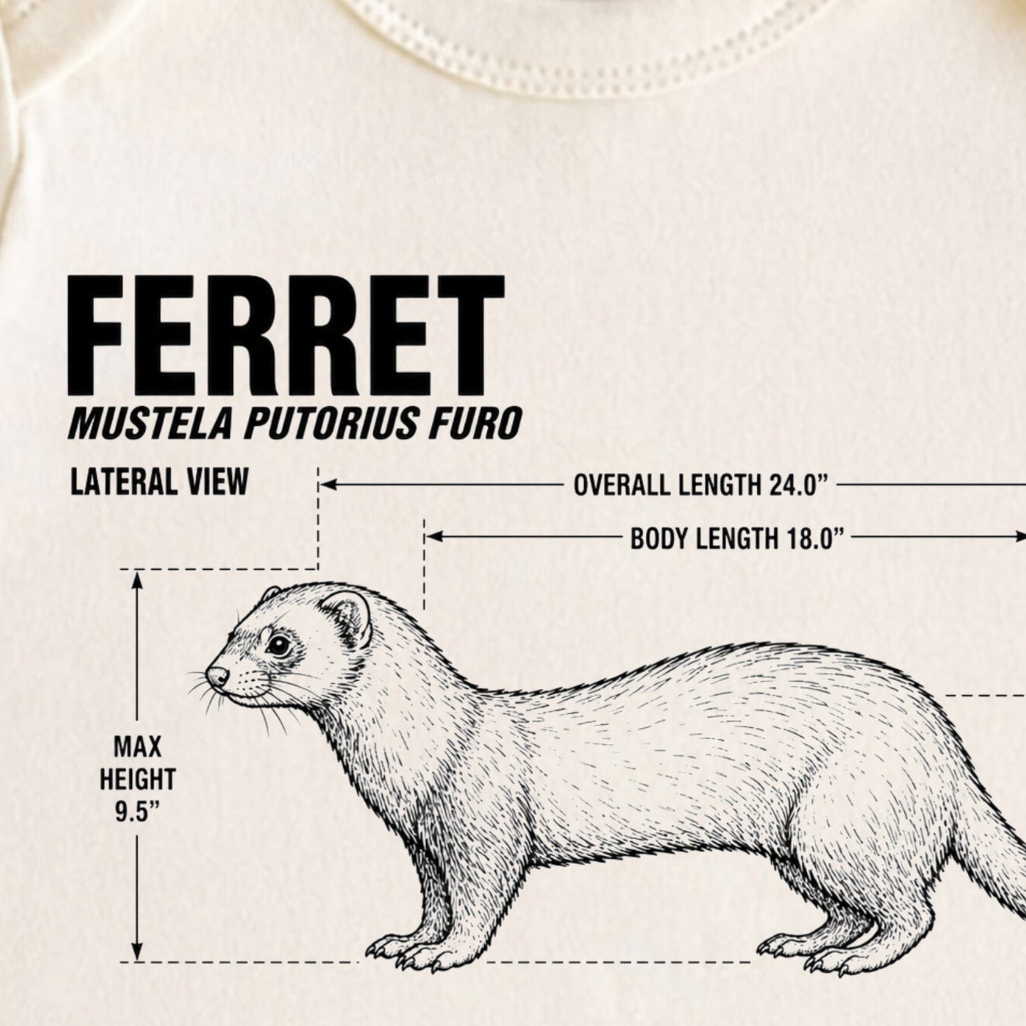 Ferret Blueprint ONESIE ®, Baby Bodysuit for Boys Girls