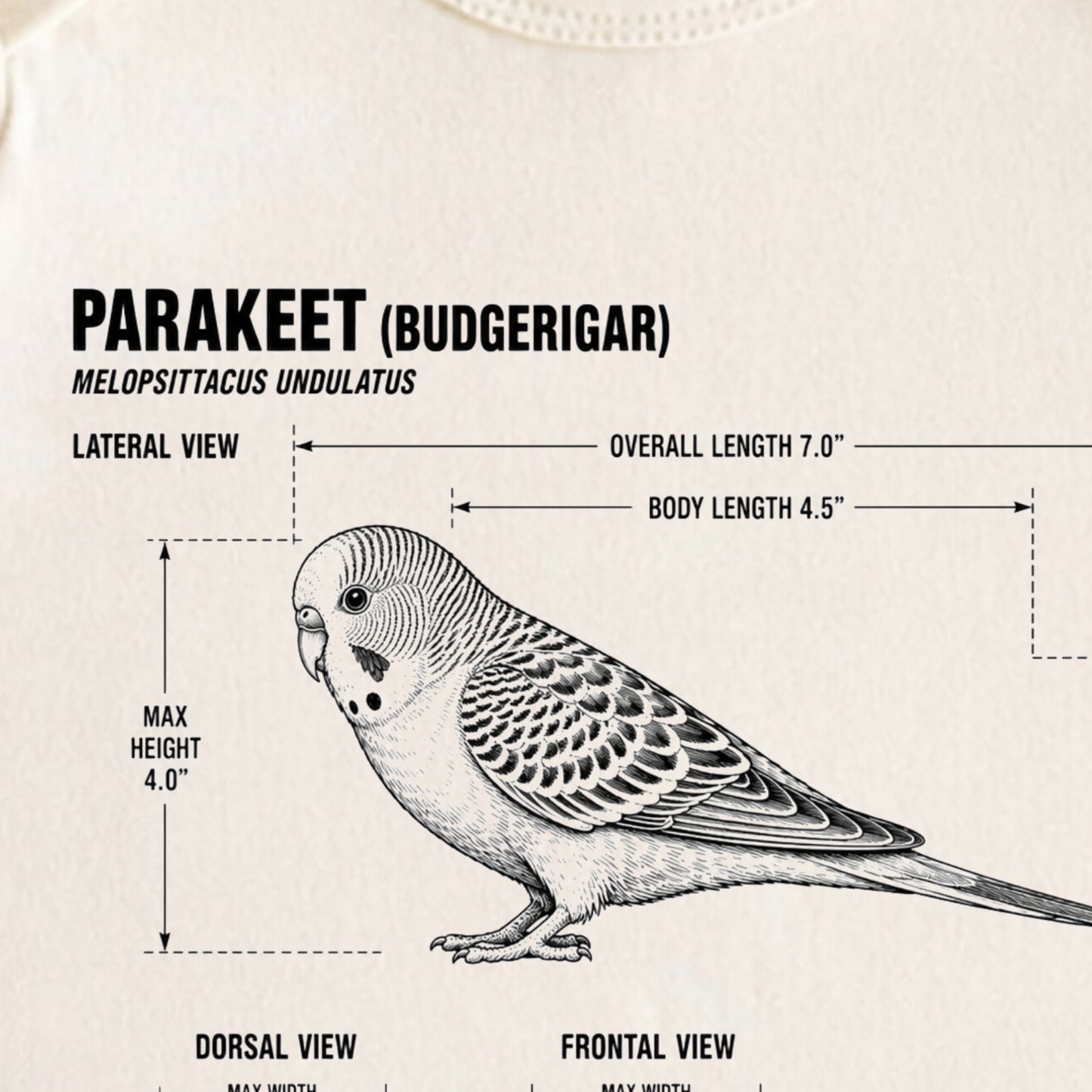 Parakeet Blueprint ONESIE ®, Baby Bodysuit for Boys Girls