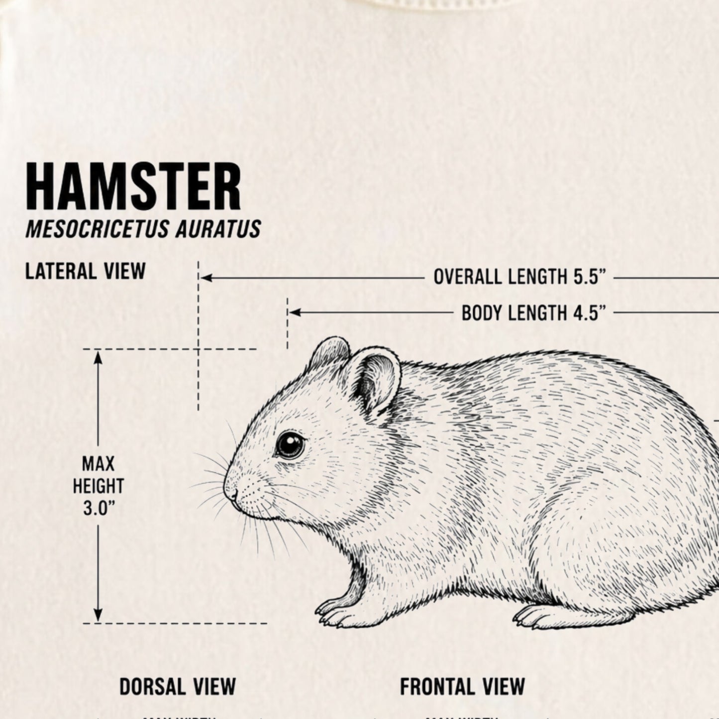 Hamster Blueprint ONESIE ®, Baby Bodysuit for Boys Girls