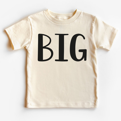 Sibling Matching Shirts - Big Brother, Big Sister T-Shirt