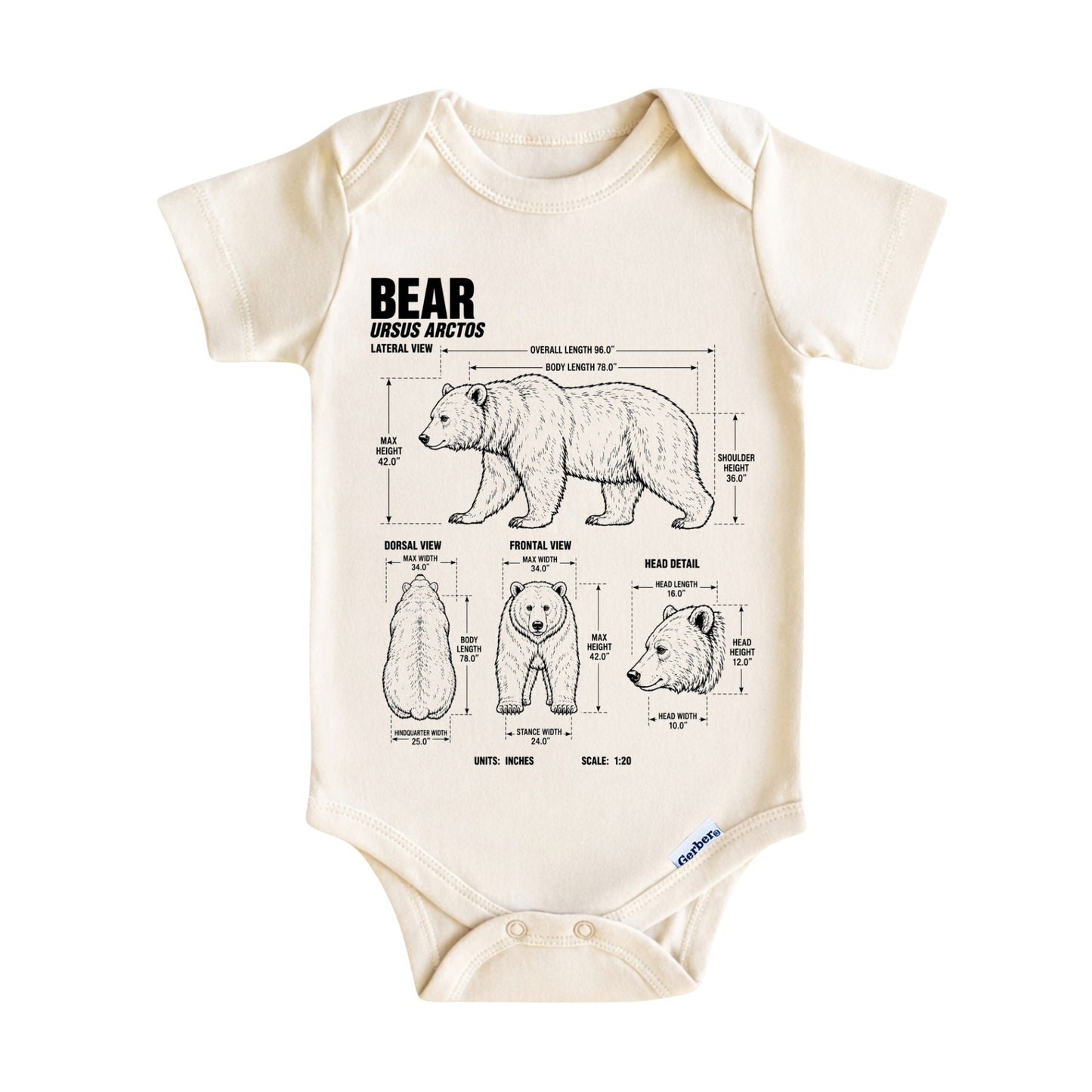 Bear Blueprint ONESIE ®, Baby Bodysuit for Boys Girls