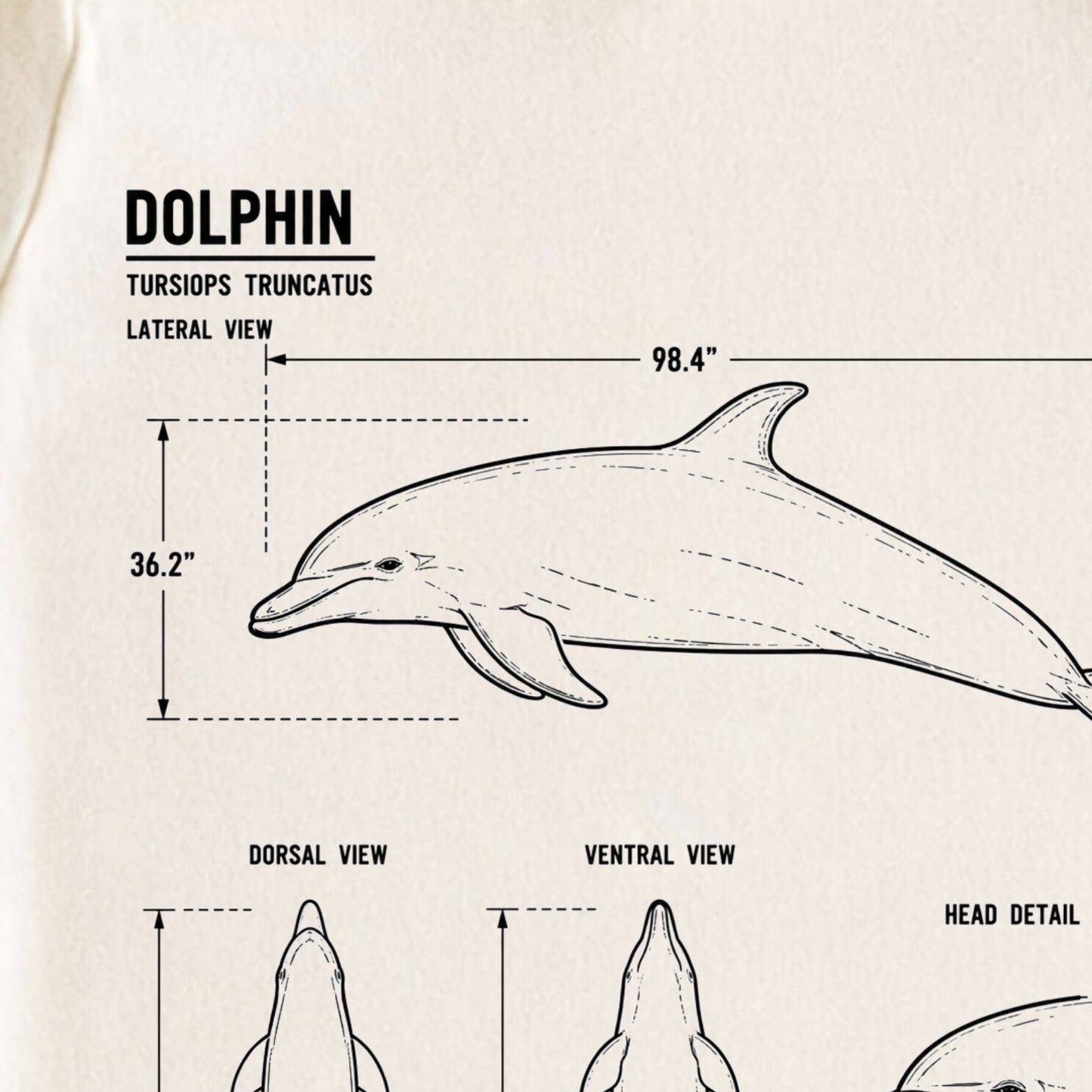 Dolphin Blueprint ONESIE ®, Baby Bodysuit for Boys Girls
