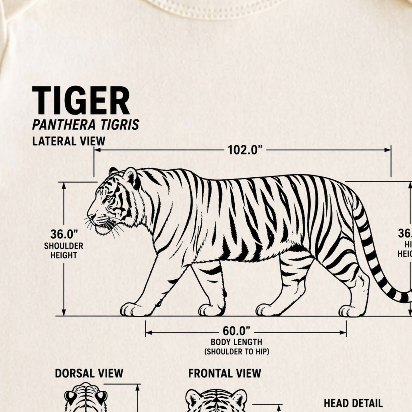 Tiger Blueprint ONESIE ®, Baby Bodysuit for Boys Girls