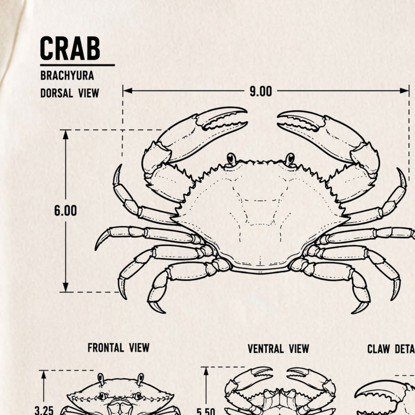 Crab Blueprint Baby ONESIE ®, Baby Bodysuit for Boys Girls