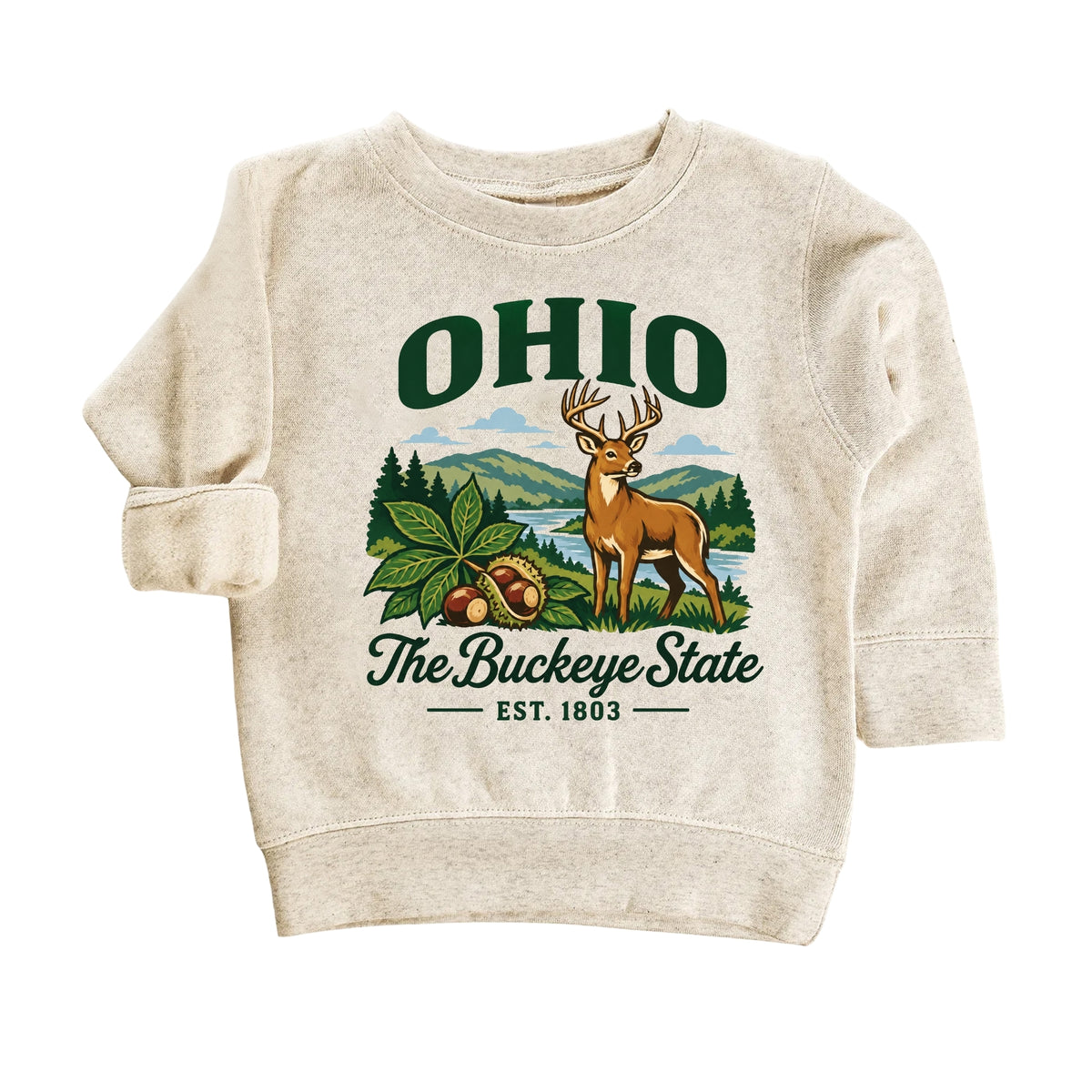 Ohio Kids Sweatshirt