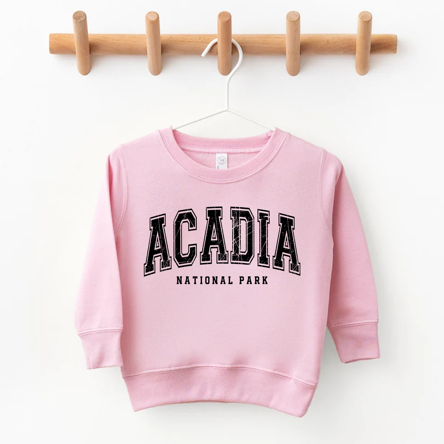 Acadia National Park Kids' T-Shirt