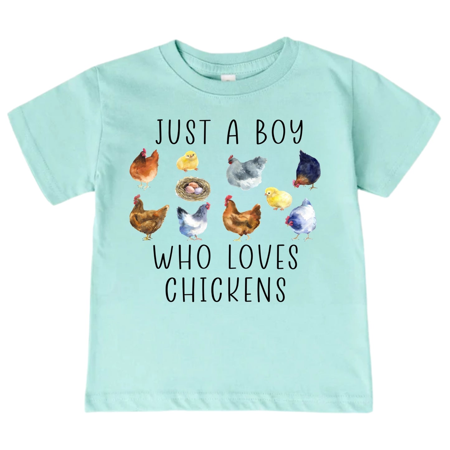 Just A Boy Who Loves Chickens Shirt