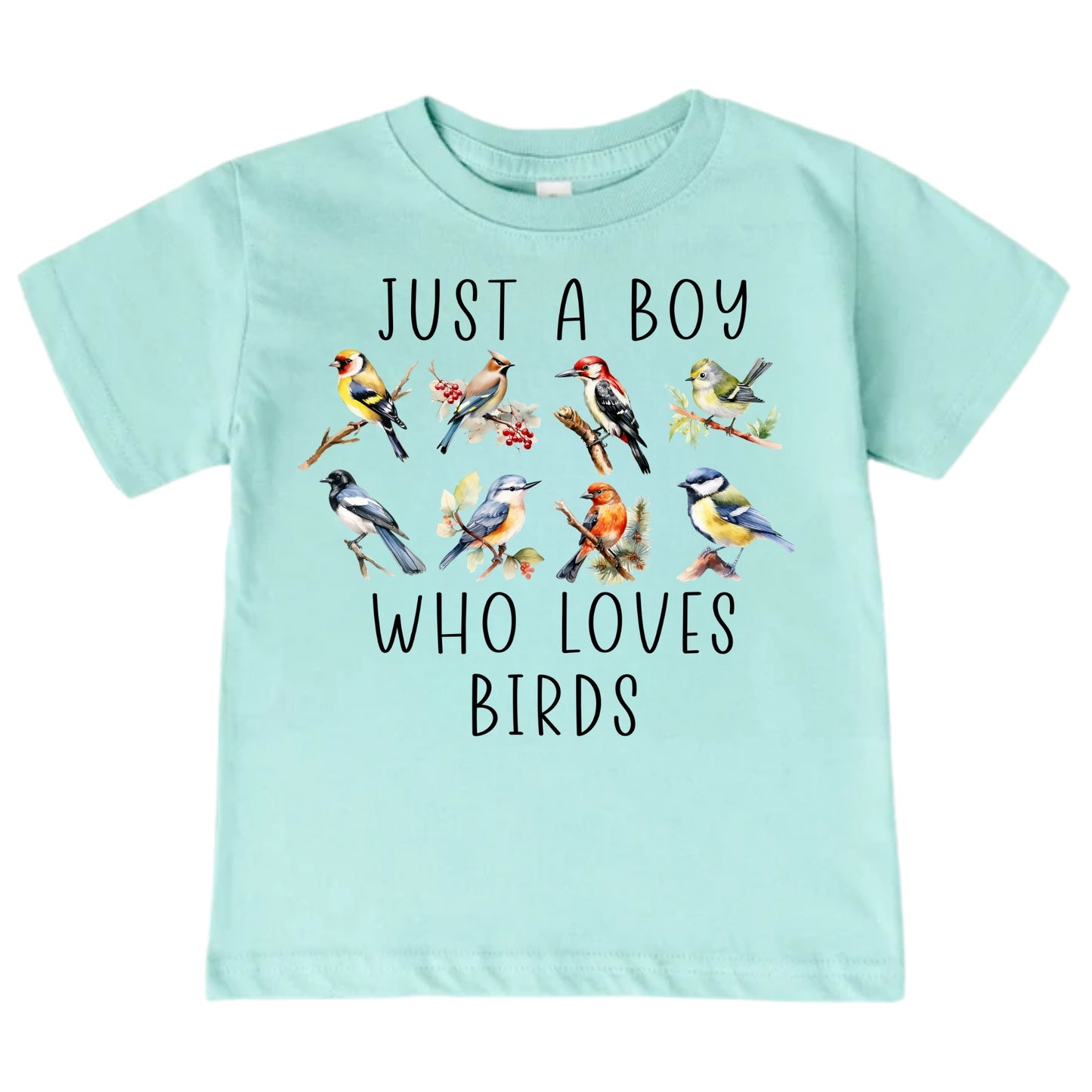 Just A Boy Who Loves Birds Shirt