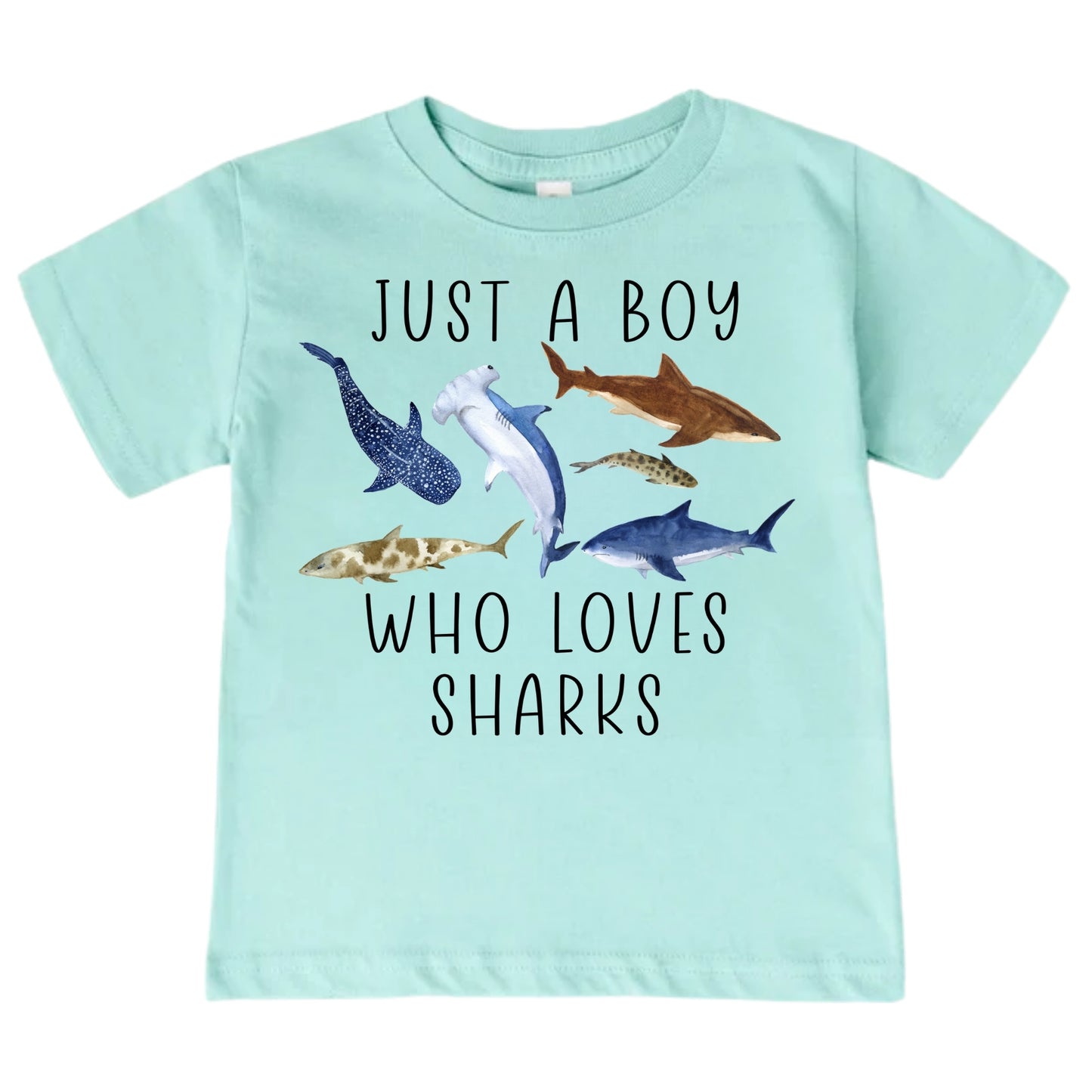 Just A Boy Who Loves Sharks Shirt