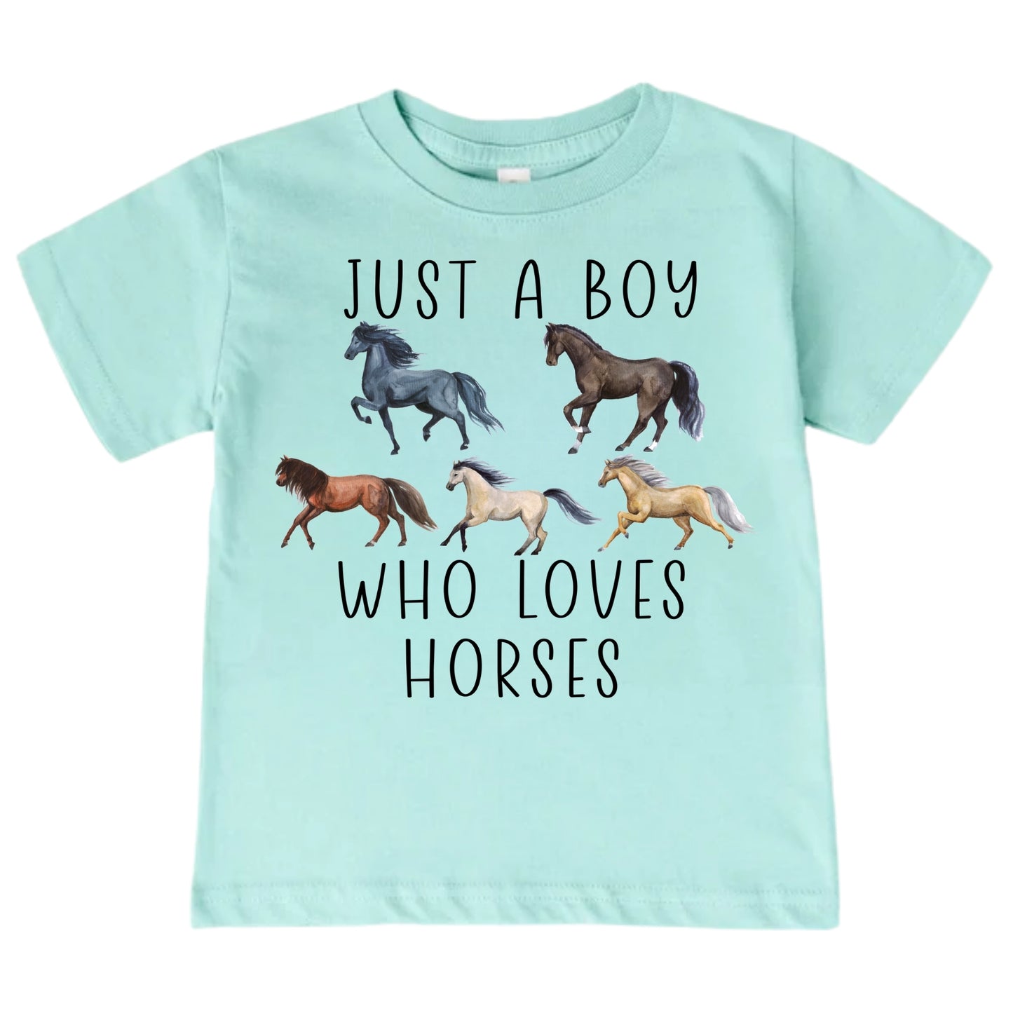 Just A Boy Who Loves Horses Shirt