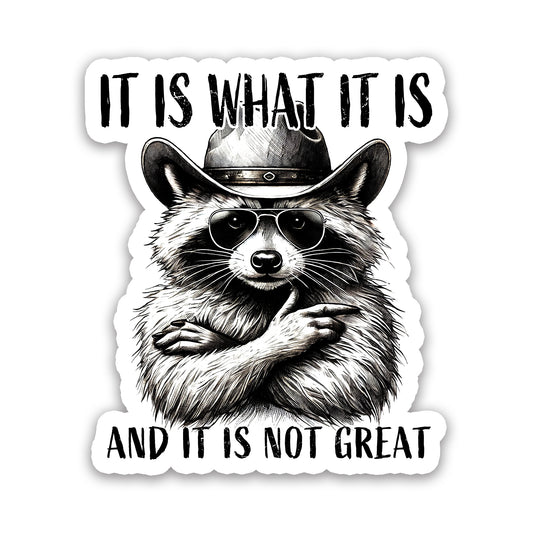 It Is What It Is Cowboy Raccoon Funny Sticker
