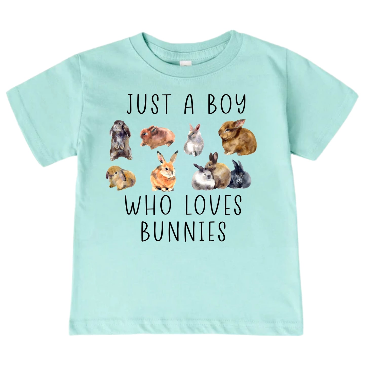 Just A Boy Who Loves Bunnies Shirt