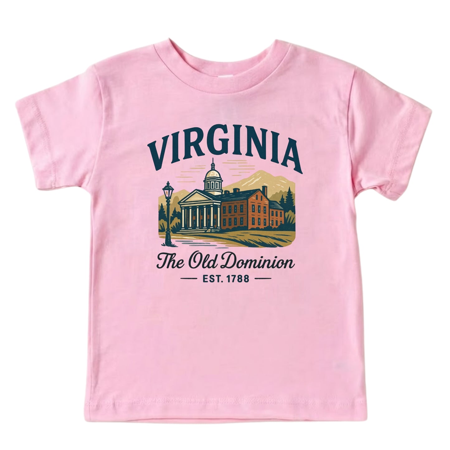 Virginia Baby Bodysuit for Baby Boys Girls, Virginia Beach Richmond Norfolk Newborn Baby Hospital Outfit