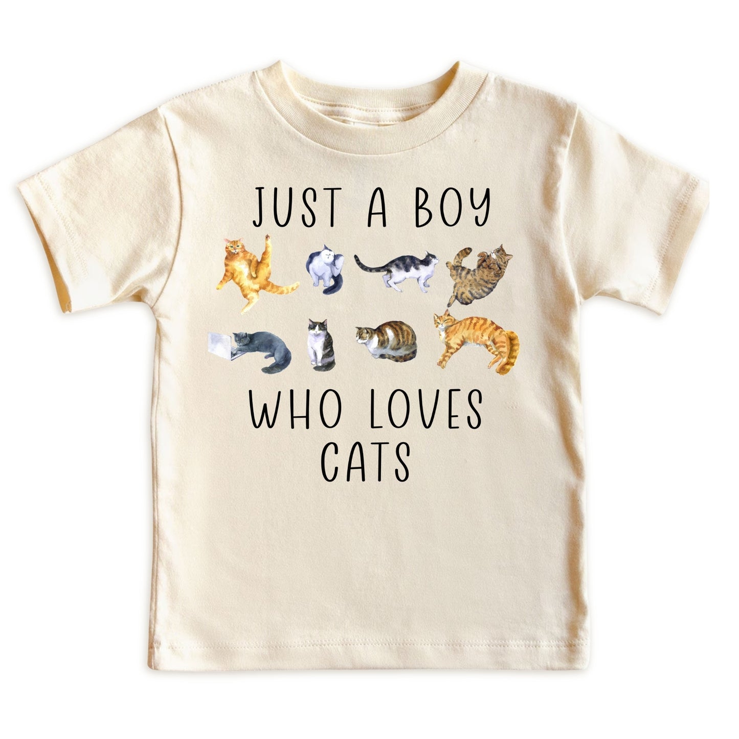 Just A Boy Who Loves Cats Shirt