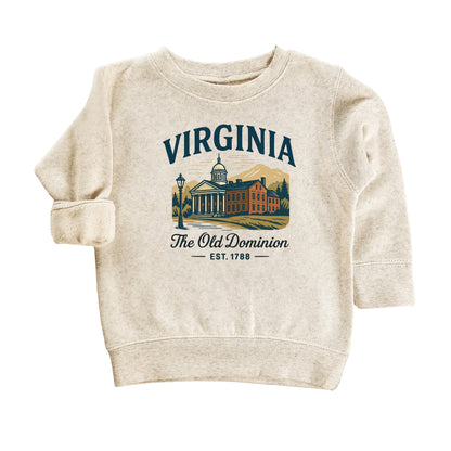 Virginia Vacation Kids Tshirt, Virginia Beach Richmond Norfolk Family Trip Shirt