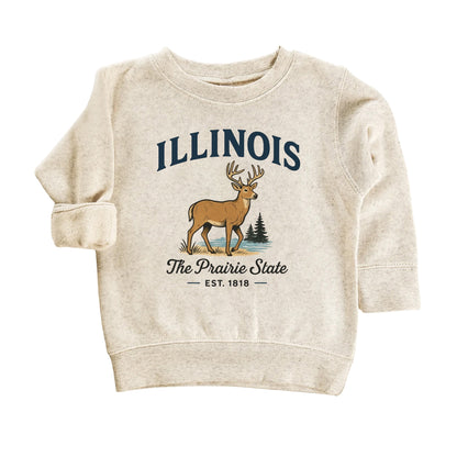 Illinois Vacation Kids Tshirt, Chicago Aurora Naperville Family Trip Shirt