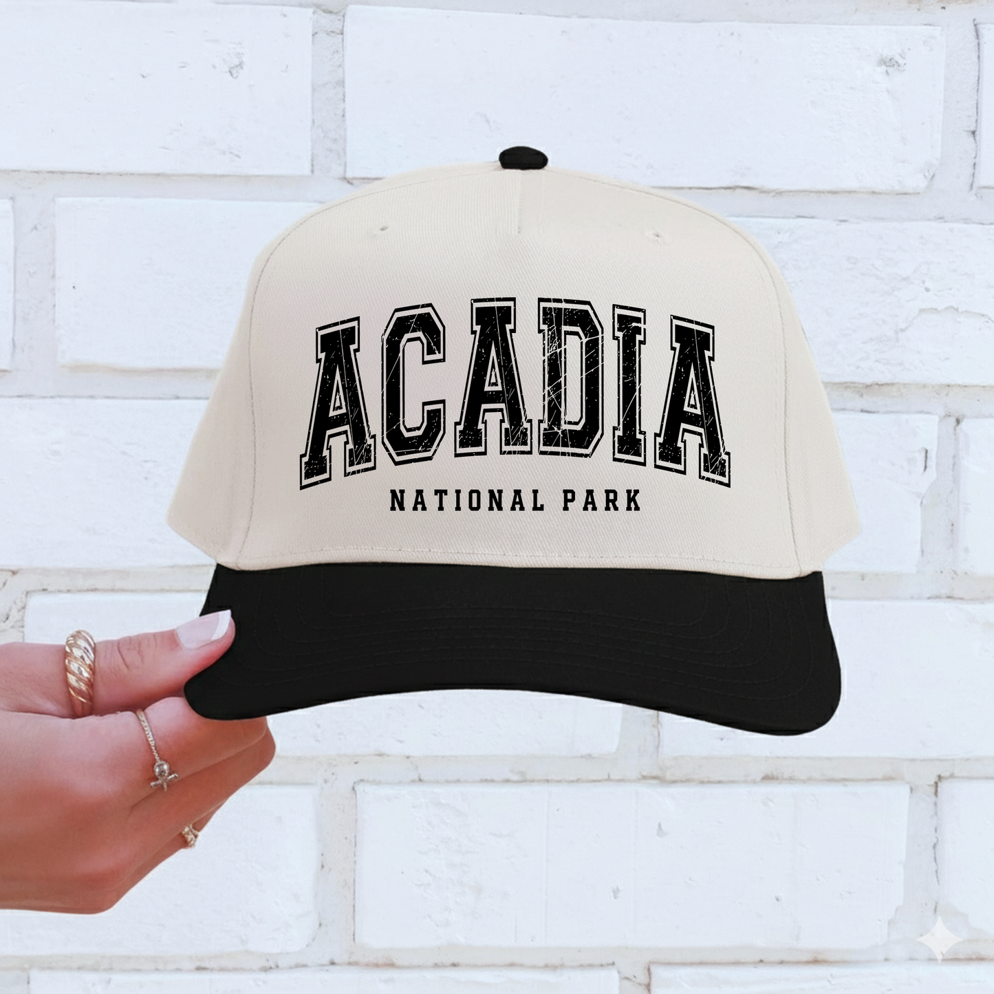 Acadia National Park Vintage Trucker Hat