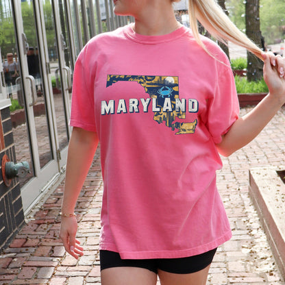 Maryland State Vintage Shirt