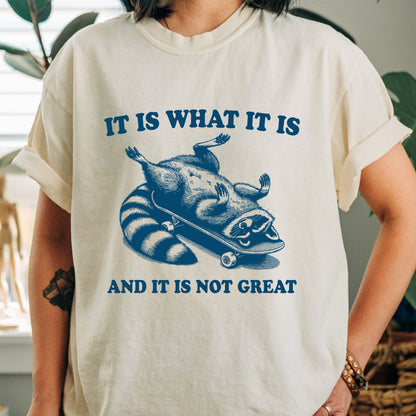 It is What It Is And It Is Not Great Shirt