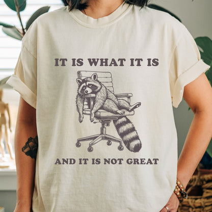 It is What It Is And It Is Not Great Shirt