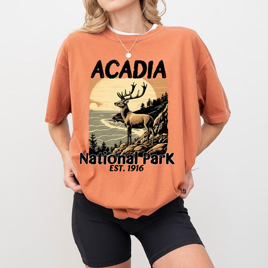 Acadia National Park Vintage Shirt