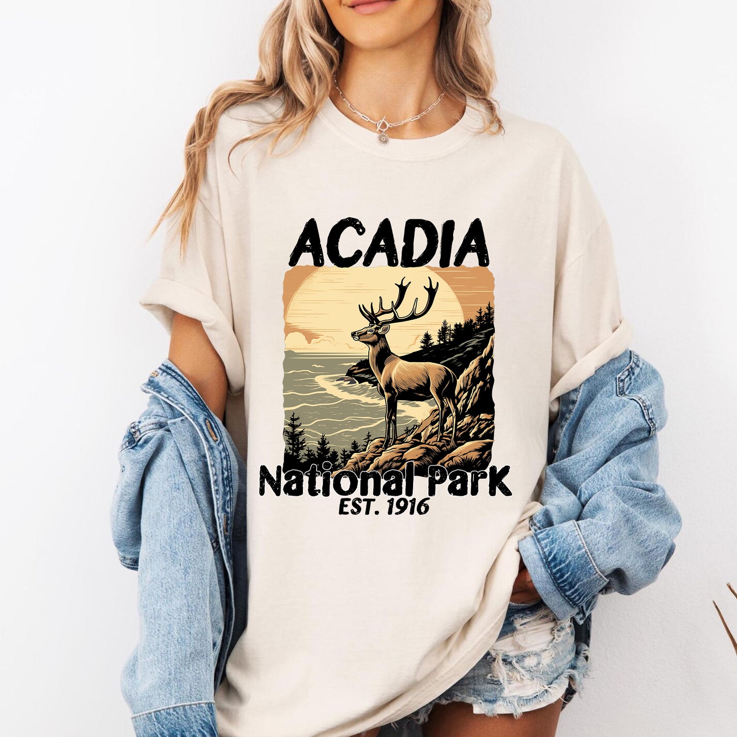 Acadia National Park Vintage Shirt