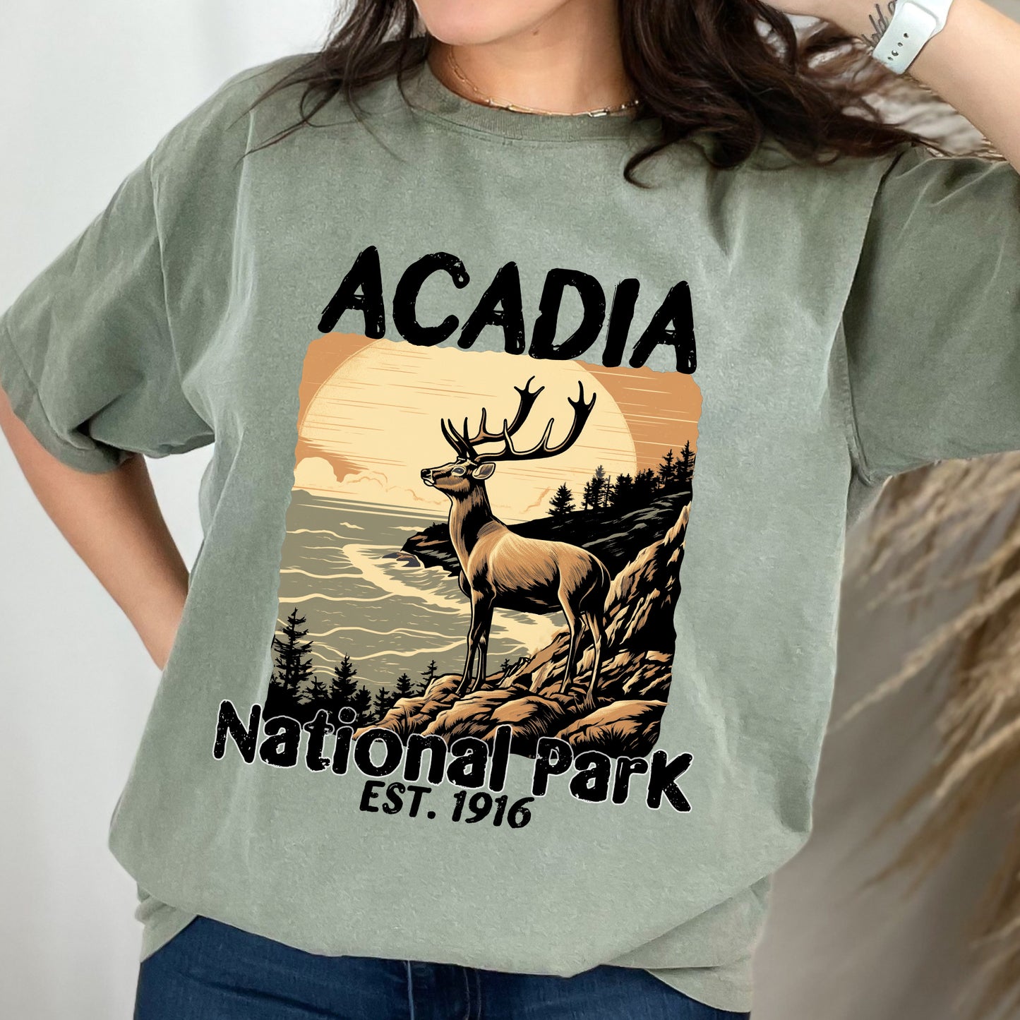 Acadia National Park Vintage Shirt